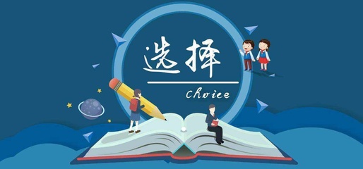 软件开发外包与专业软件产品的核心差异解析